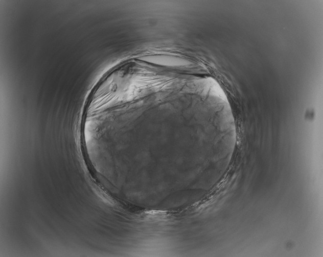 X0000116280052201001111044