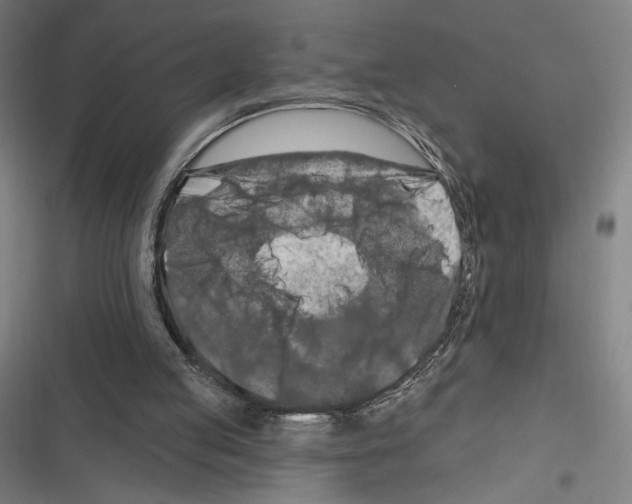 X0000116280053201001111044