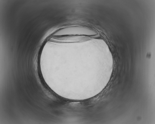 X0000116280054201001111044