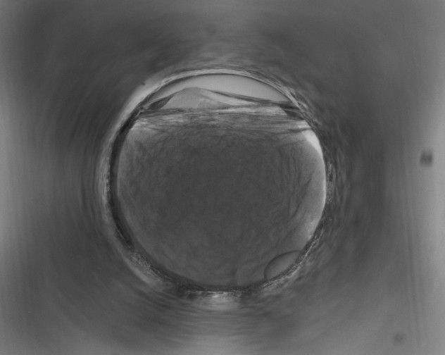X0000116280056201001111044