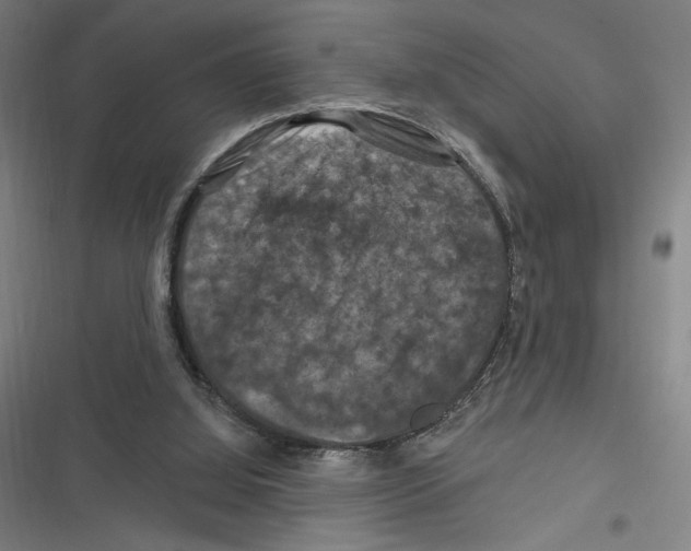 X0000116280060201001111044
