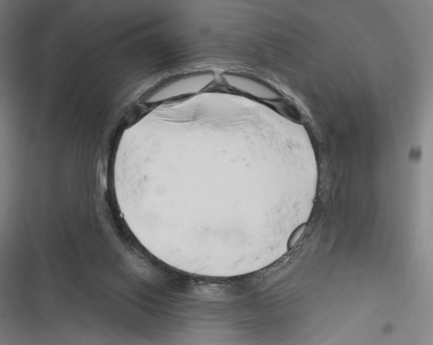X0000116280062201001111044