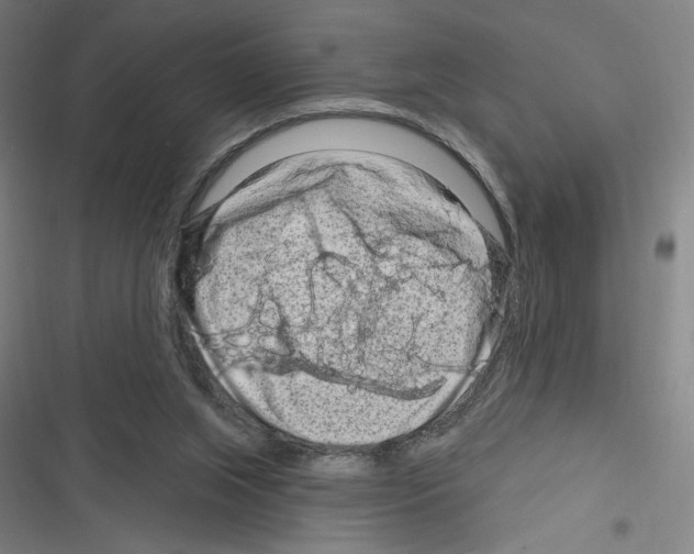 X0000116280063201001111044
