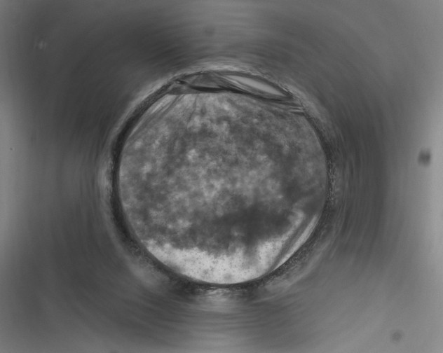 X0000116280064201001111044