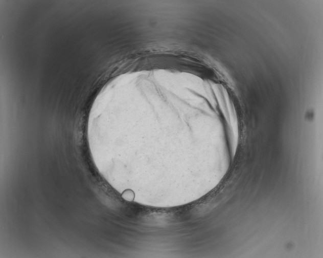 X0000116280065201001111044