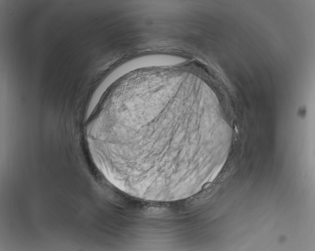 X0000116280066201001111044