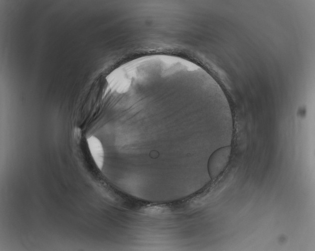 X0000116280067201001111044