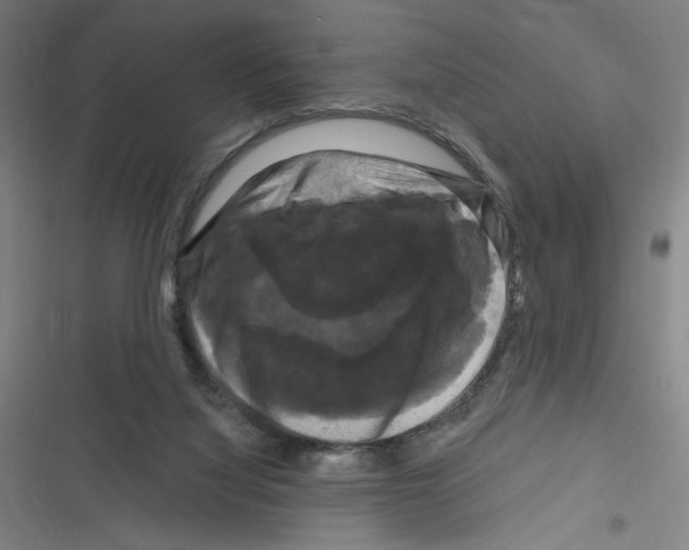 X0000116280068201001111044