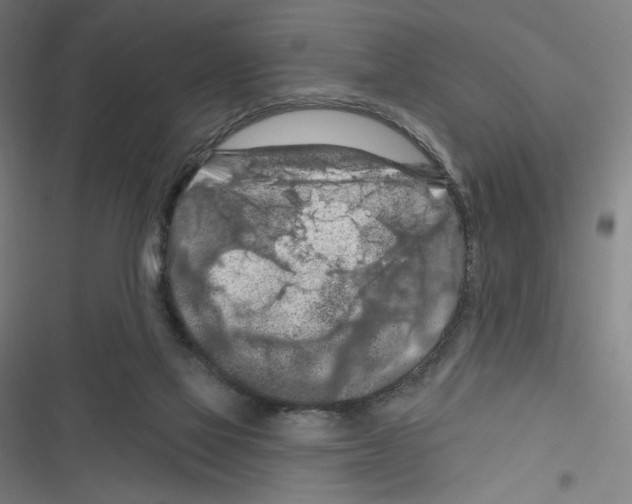 X0000116280069201001111044