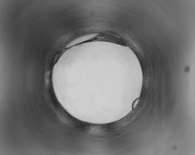 X0000116280070201001111044