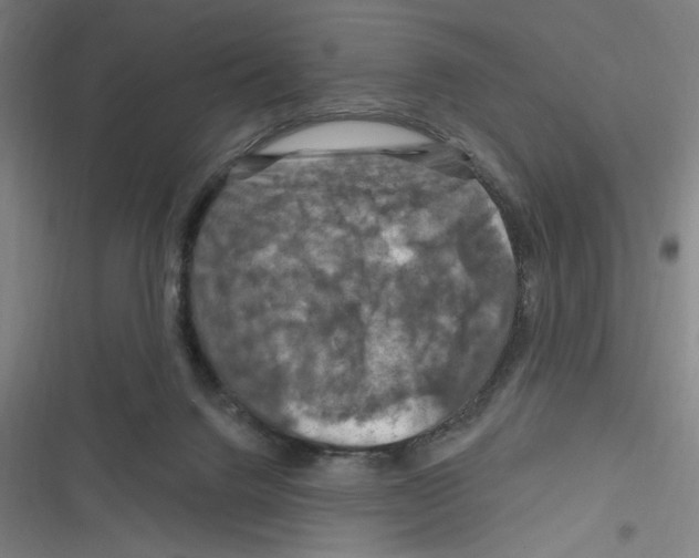 X0000116280072201001111044