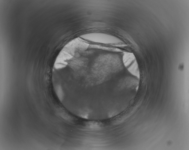 X0000116280073201001111044