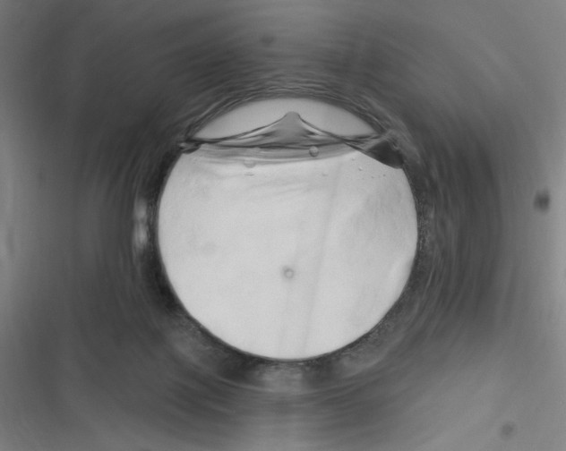 X0000116280075201001111044