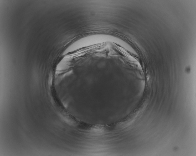 X0000116280076201001111044
