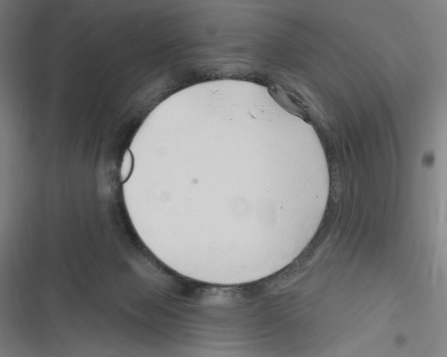 X0000116280077201001111044