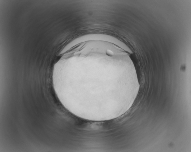 X0000116280078201001111044
