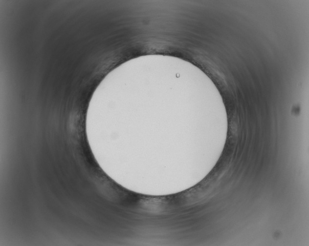 X0000116280079201001111044