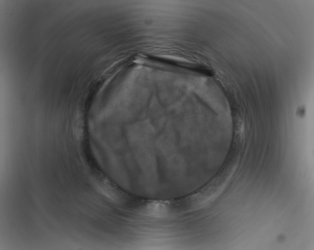 X0000116280080201001111044