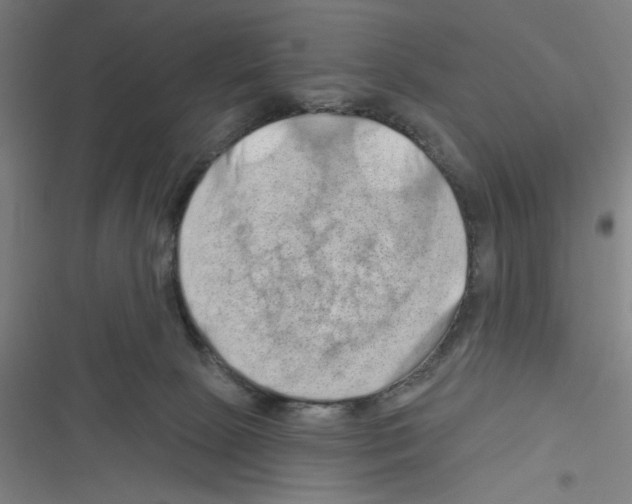 X0000116280081201001111044