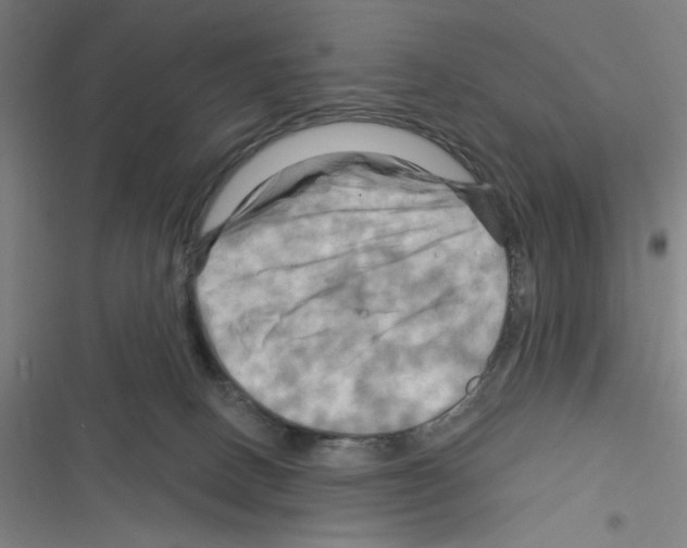 X0000116280082201001111044