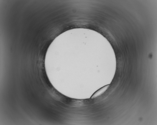 X0000116280083201001111044