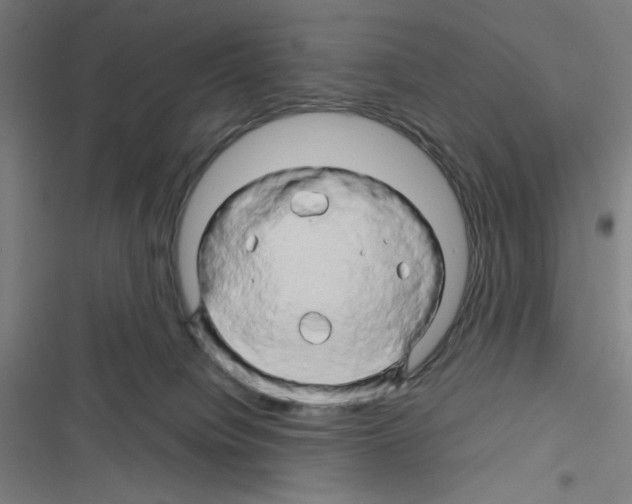 X0000116280084201001111044