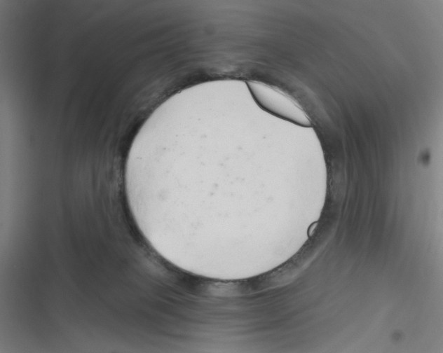X0000116280085201001111044