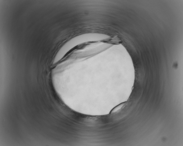X0000116280086201001111044