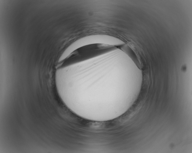 X0000116280088201001111044