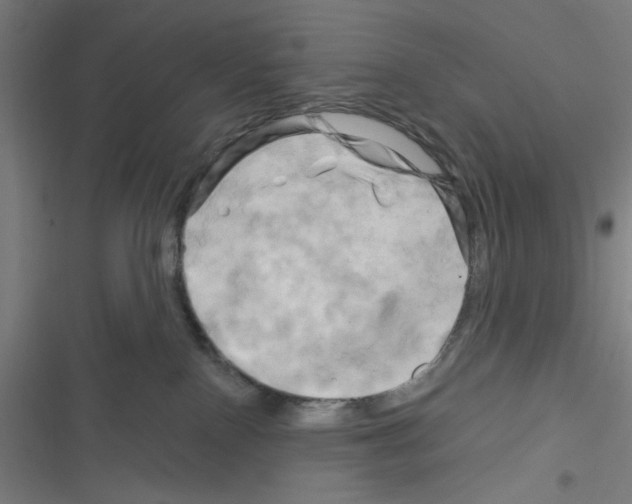 X0000116280090201001111044