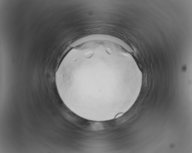 X0000116280091201001111044