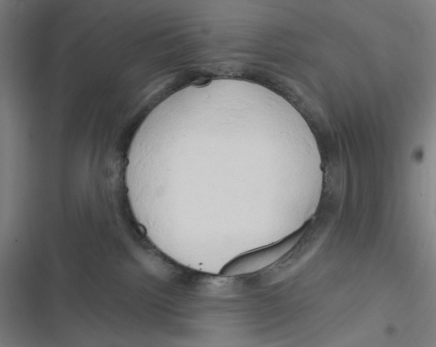X0000116280092201001111044