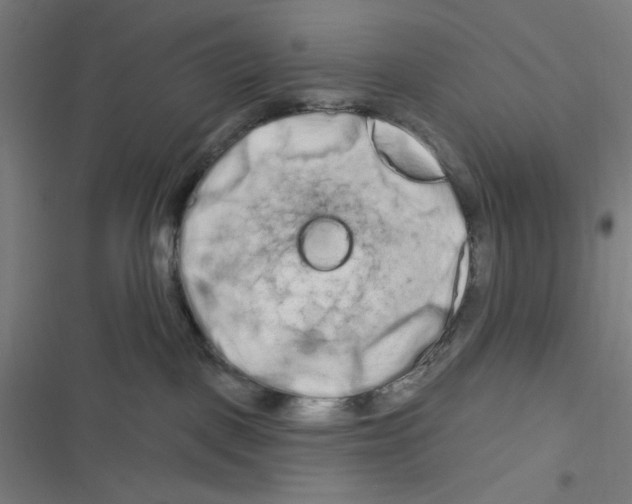 X0000116280093201001111044