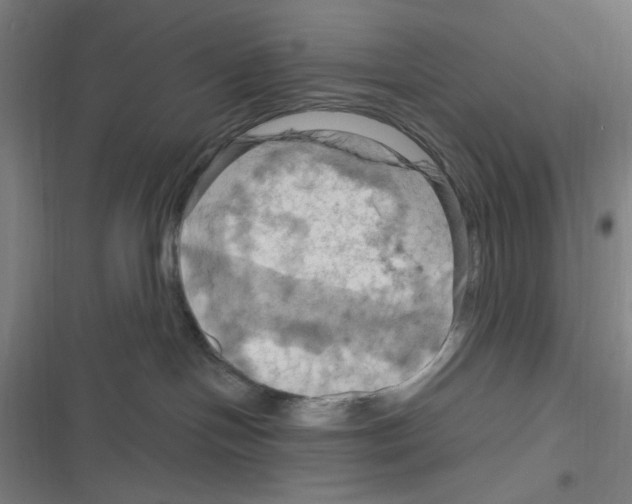 X0000116280094201001111044