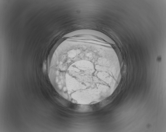 X0000116280095201001111044