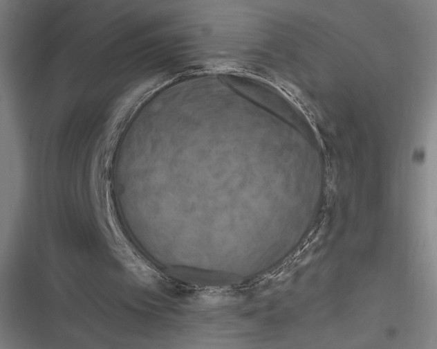 X0000116280097201001111044