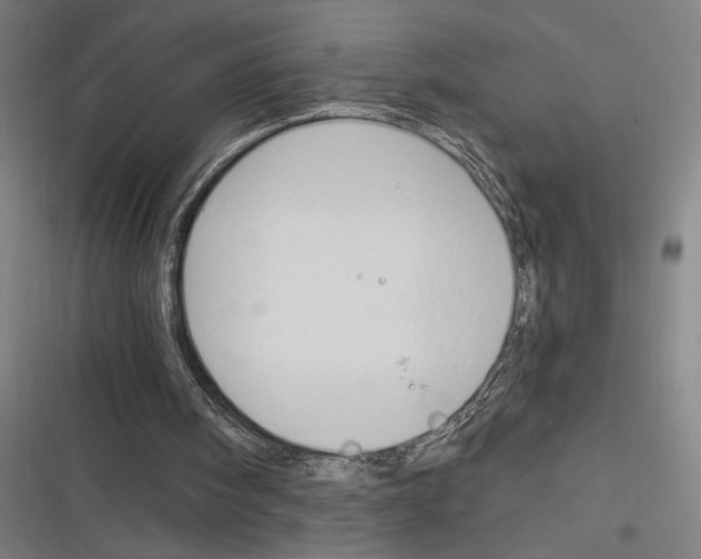 X0000116280098201001111044