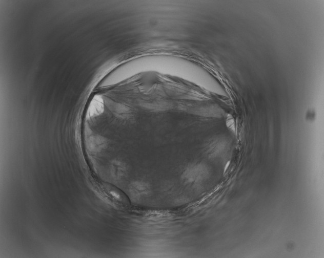 X0000116280099201001111044