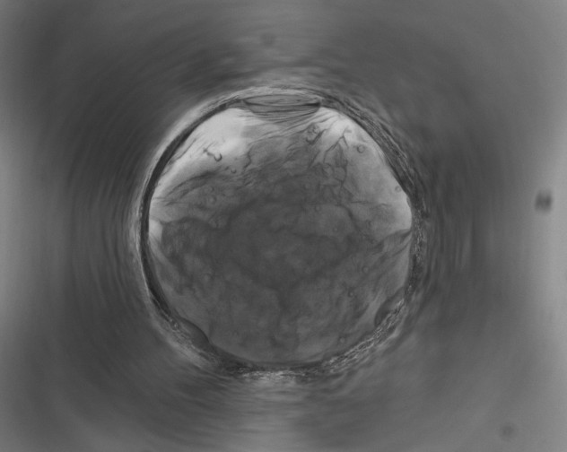 X0000116280100201001111044