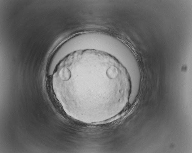 X0000116280101201001111044