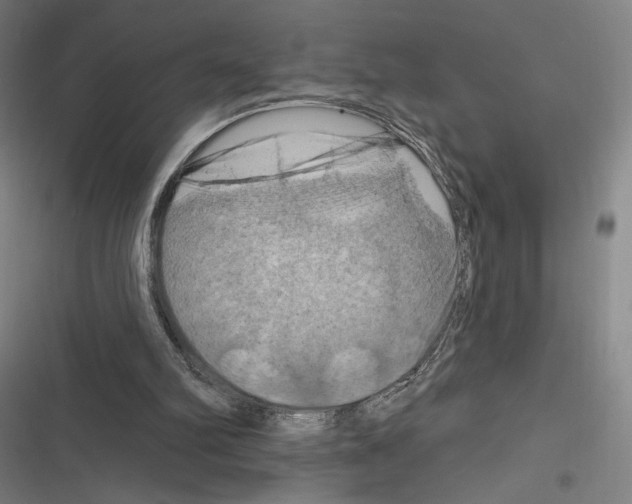 X0000116280102201001111044
