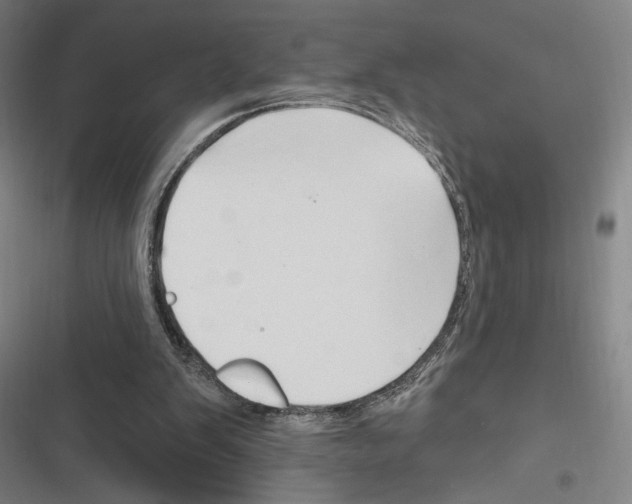 X0000116280103201001111044