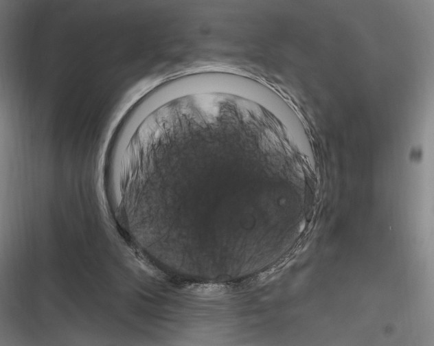 X0000116280104201001111044