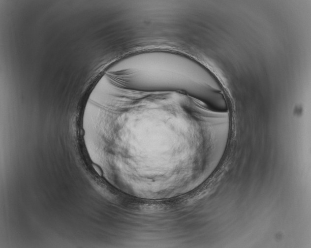 X0000116280105201001111044