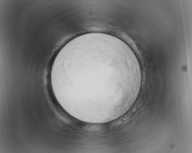 X0000116280106201001111044