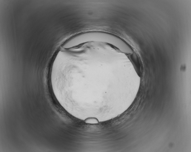 X0000116280107201001111044