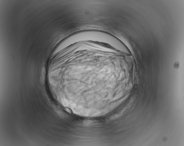 X0000116280109201001111044