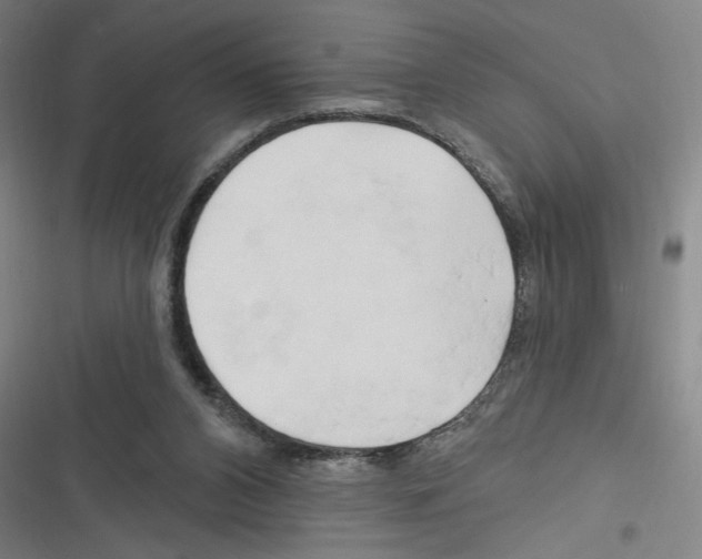 X0000116280112201001111044