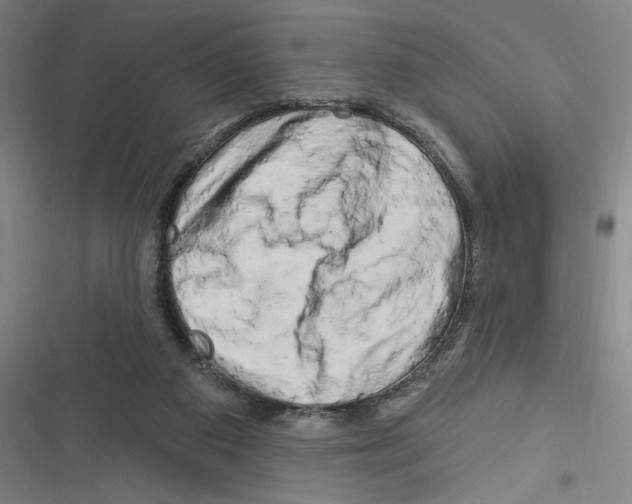 X0000116280113201001111044
