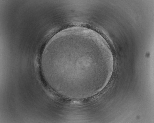 X0000116280114201001111044
